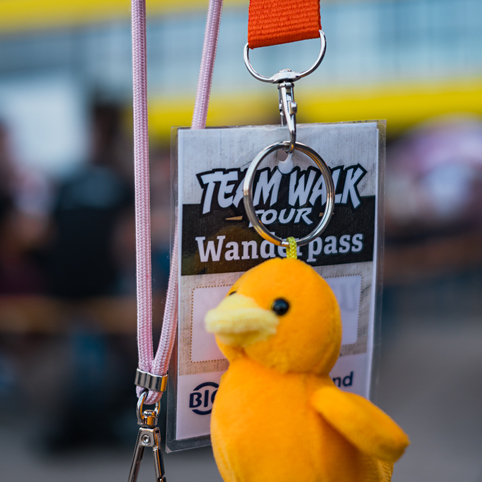 Teamwalk Wanderpass