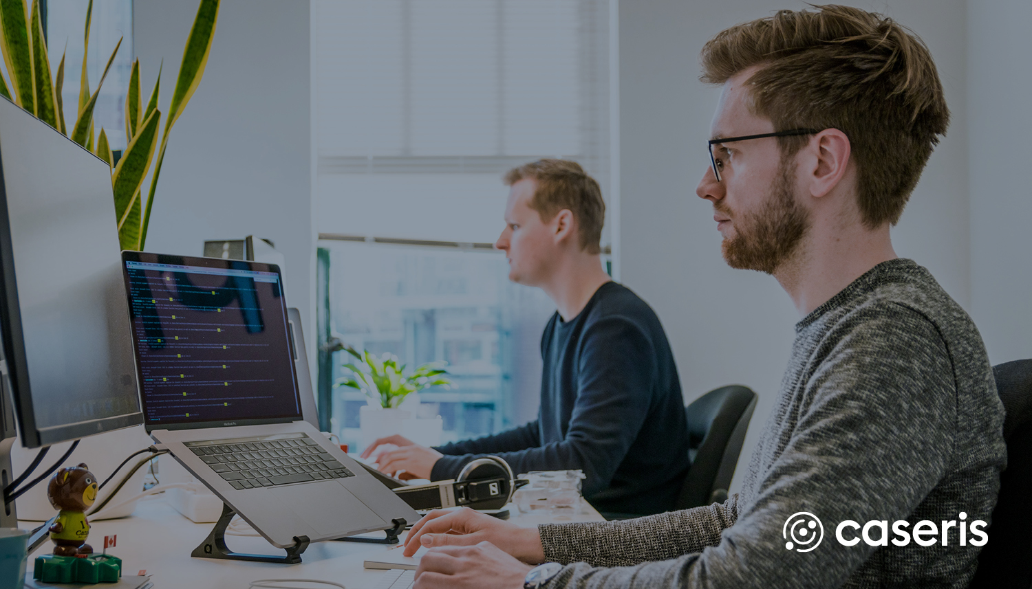 Webentwickler (w/m/d) gesucht